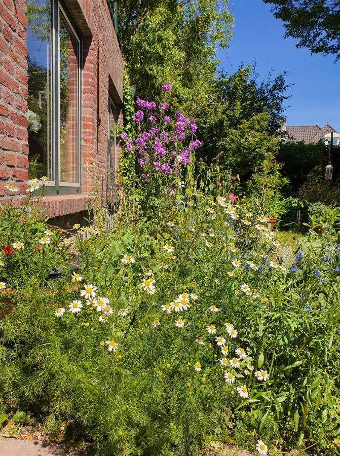 De Vliegende Vlinder Bed and Breakfast Nederweert Εξωτερικό φωτογραφία