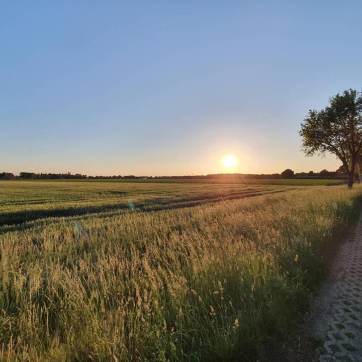 De Vliegende Vlinder Bed and Breakfast Nederweert Εξωτερικό φωτογραφία