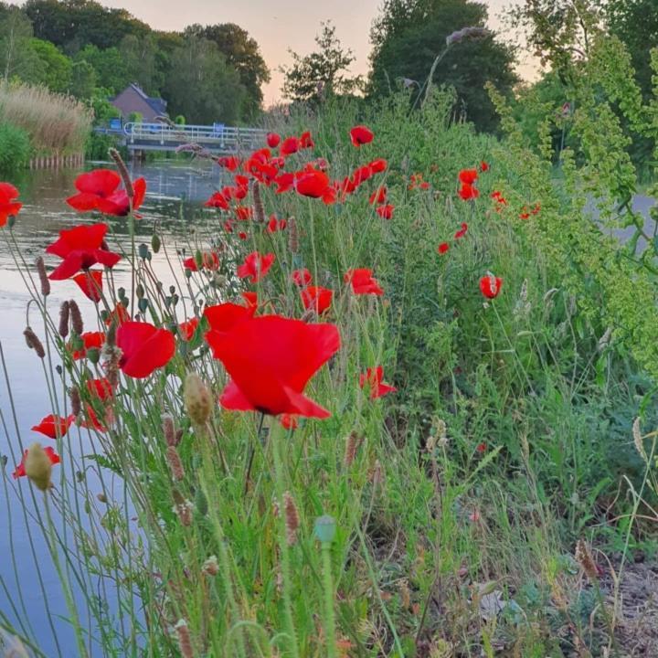 De Vliegende Vlinder Bed and Breakfast Nederweert Εξωτερικό φωτογραφία