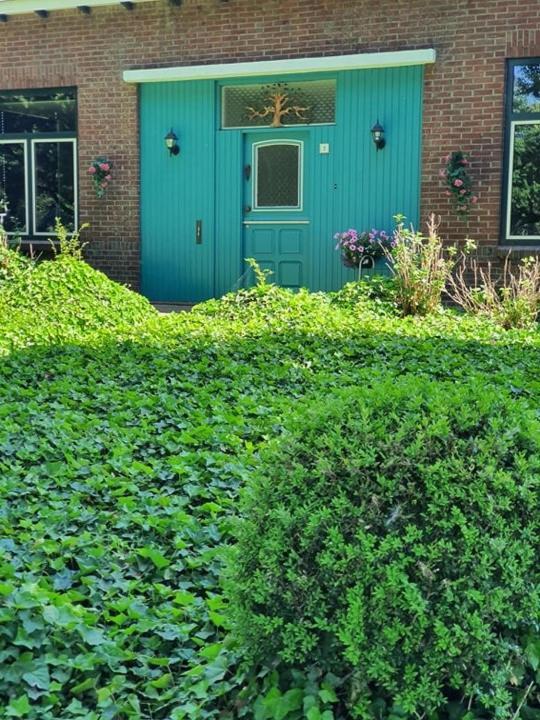 De Vliegende Vlinder Bed and Breakfast Nederweert Εξωτερικό φωτογραφία
